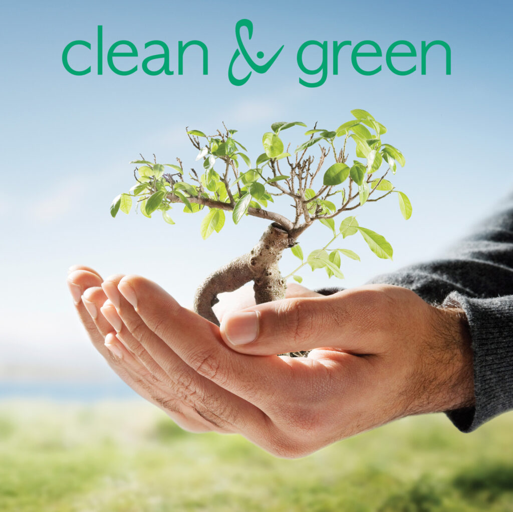 CleanandGreen-vision-nachhaltig