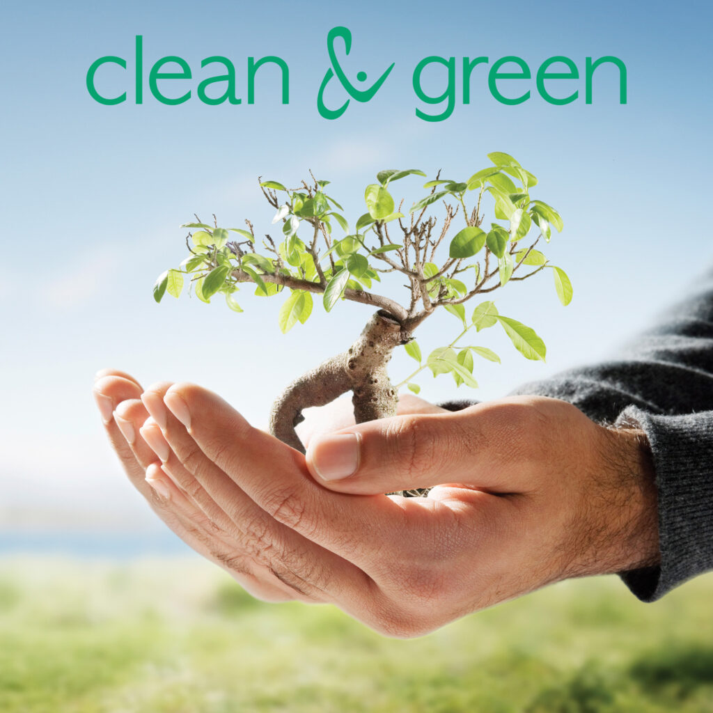 CleanandGreen-vision-nachhaltig
